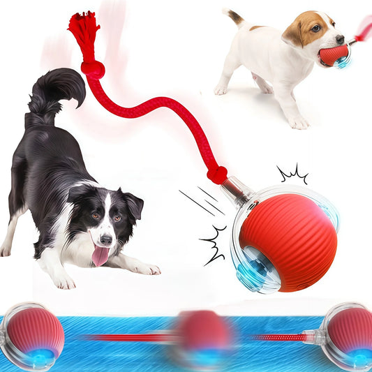 Interactive Cat & Dog Chase Ball